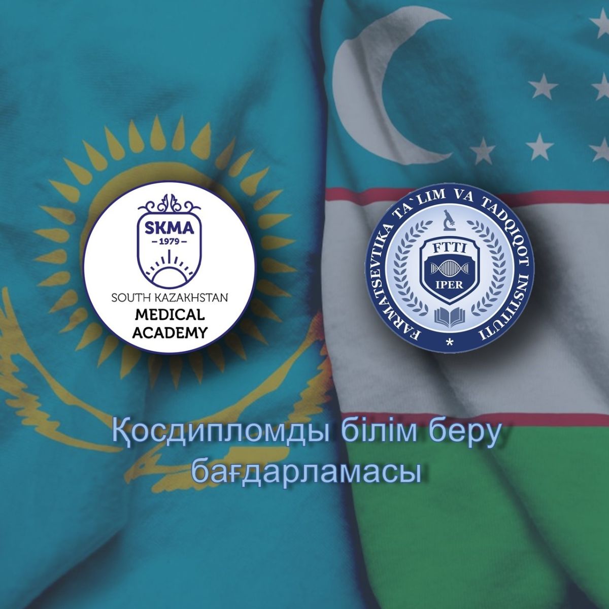 Организация международного сотрудничества на фармацевтическо...