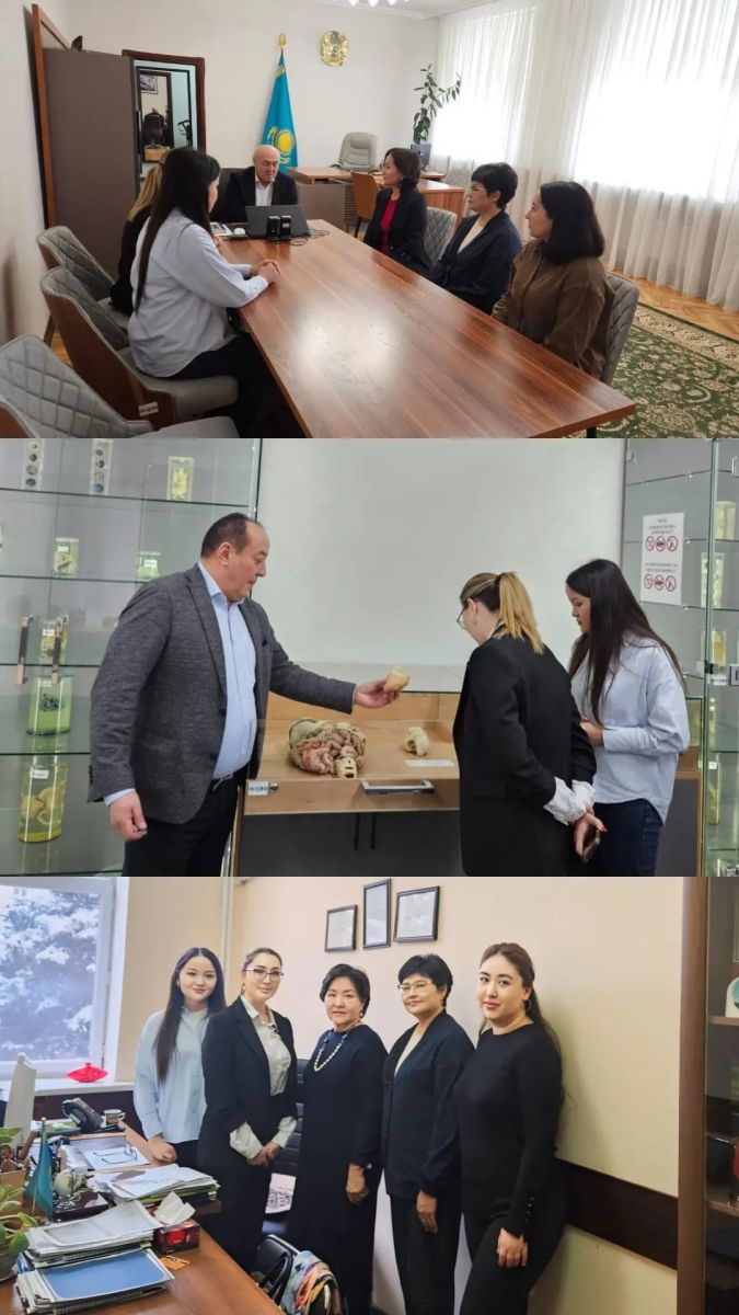 АКАДЕМИЧЕСКАЯ МОБИЛЬНОСТЬ ПО СЕСТРИНСКОЙ НАУКЕ