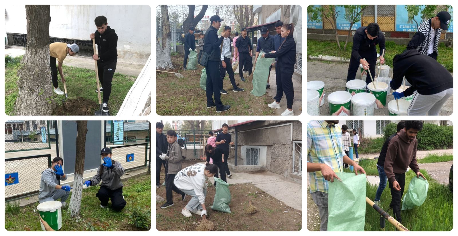 Чистая страна