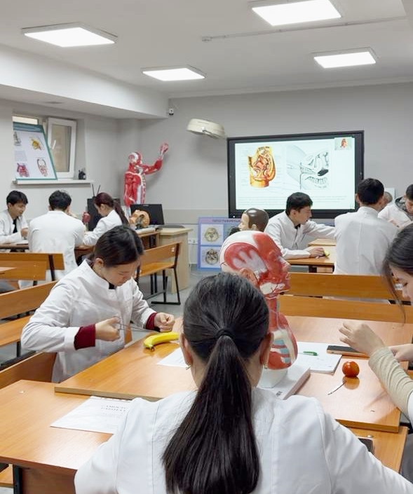 Сәтті отаның негізі оқу аудиториясында қаланады