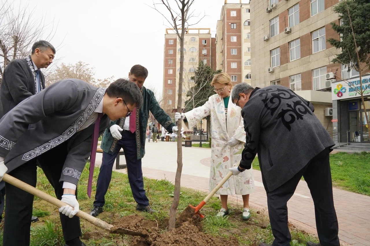 Caring for nature: the academy staff carried out a tree-plan...