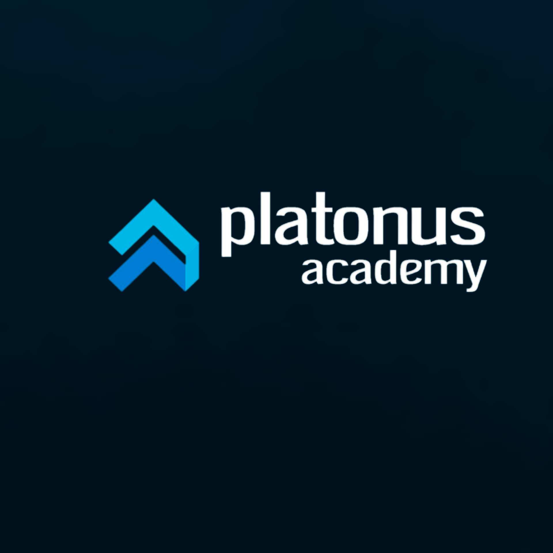 Platonus Academy